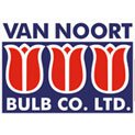 Van Noort Bulb