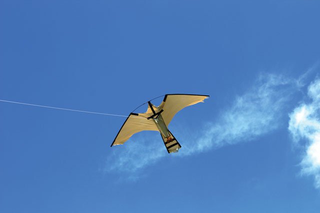 Fright Kite