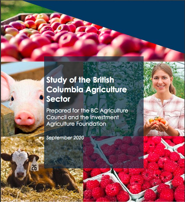 Study of BC Ag Sector