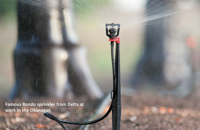Rondo sprinkler from Delta